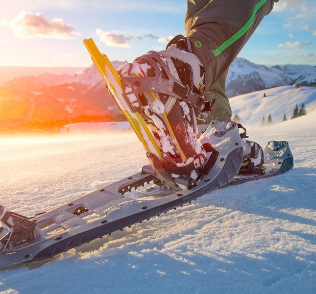 Skiing and snowshoes