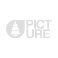 Picture Picture